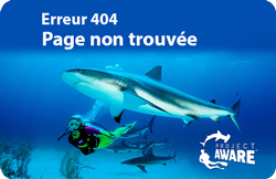 Page 404